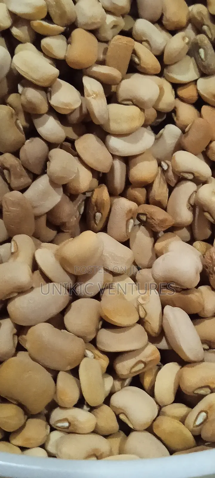 Original Oloyin Beans