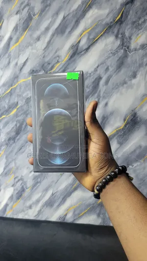 New Apple iPhone 12 Pro Max 256 GB Silver