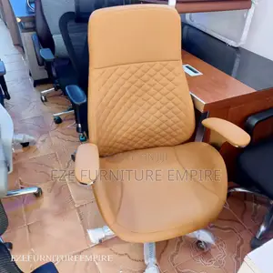 Office Chair for Director