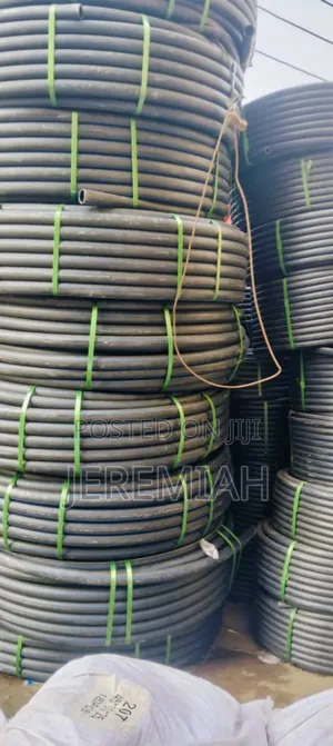 25mm Spinal Tube