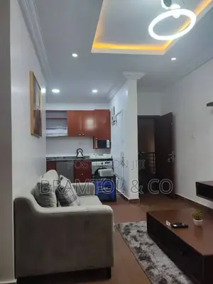 Furnished 1bdrm Block of Flats in Wuye for rent
