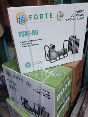 Forte Solar Water Pump
