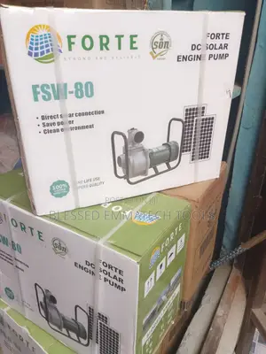 Forte Solar Water Pump