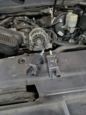 Chevrolet Express Vapor Canister Purge Valve