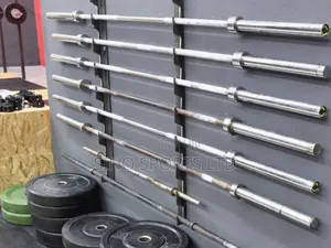 Wall Barbell Rack