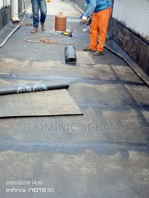 Vertex Waterproofing Experts