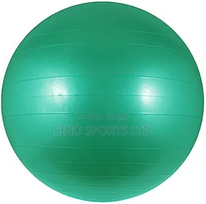 Gym Ball (65cm)