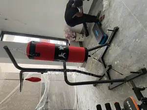 Punching Bag With Stand And Speedball
