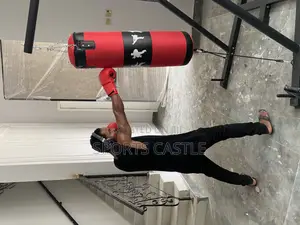 Standing Punching Bag