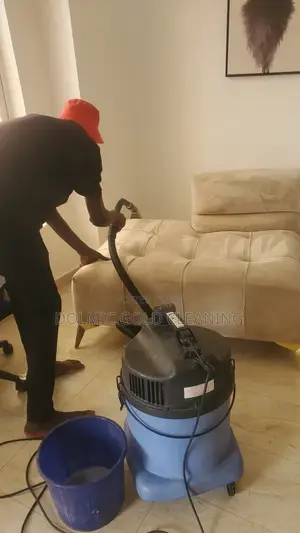 Professional in Sofa and Couch Cleaning