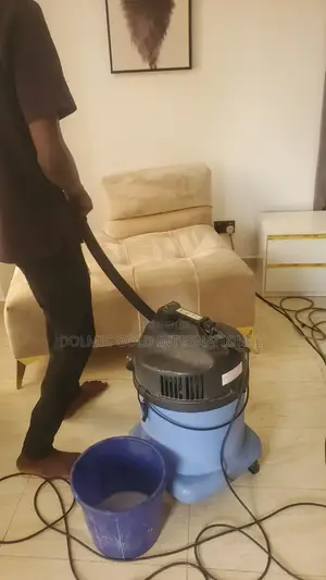 Professional in Sofa and Couch Cleaning.