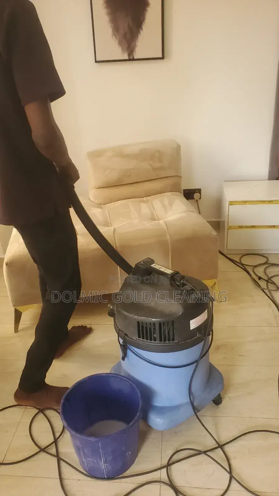 Professional in Sofa and Couch Cleaning