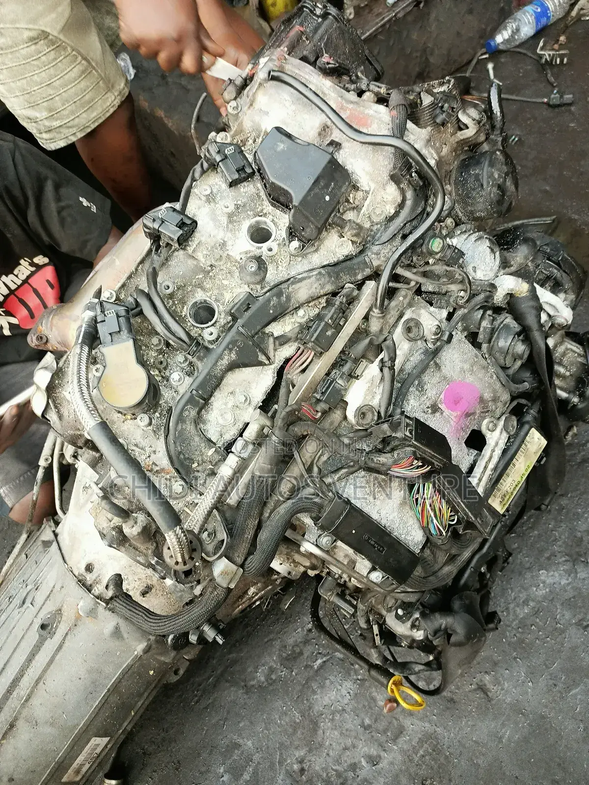 Complete Engine 272 303 Model