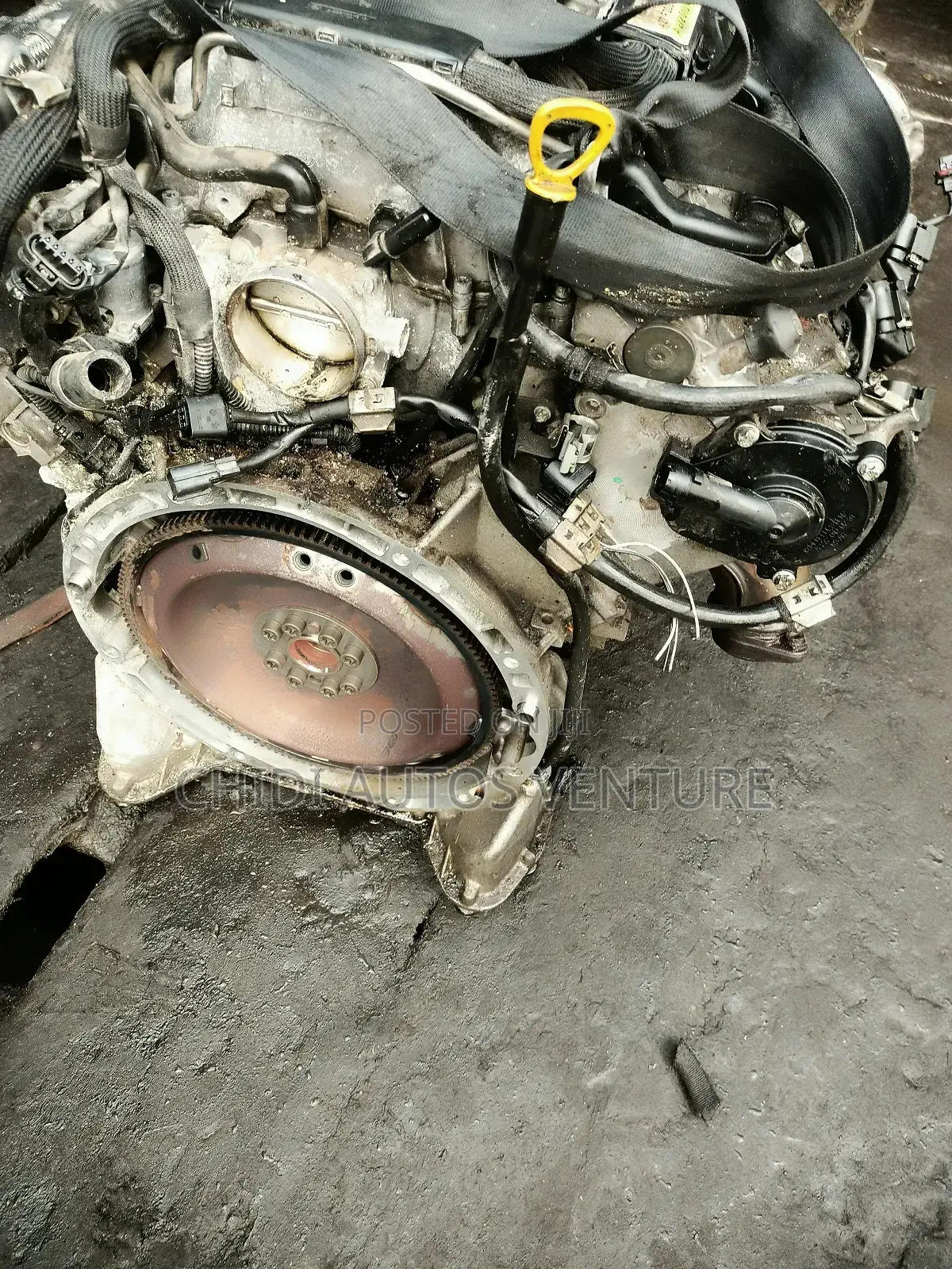 Complete Engine 272 303 Model