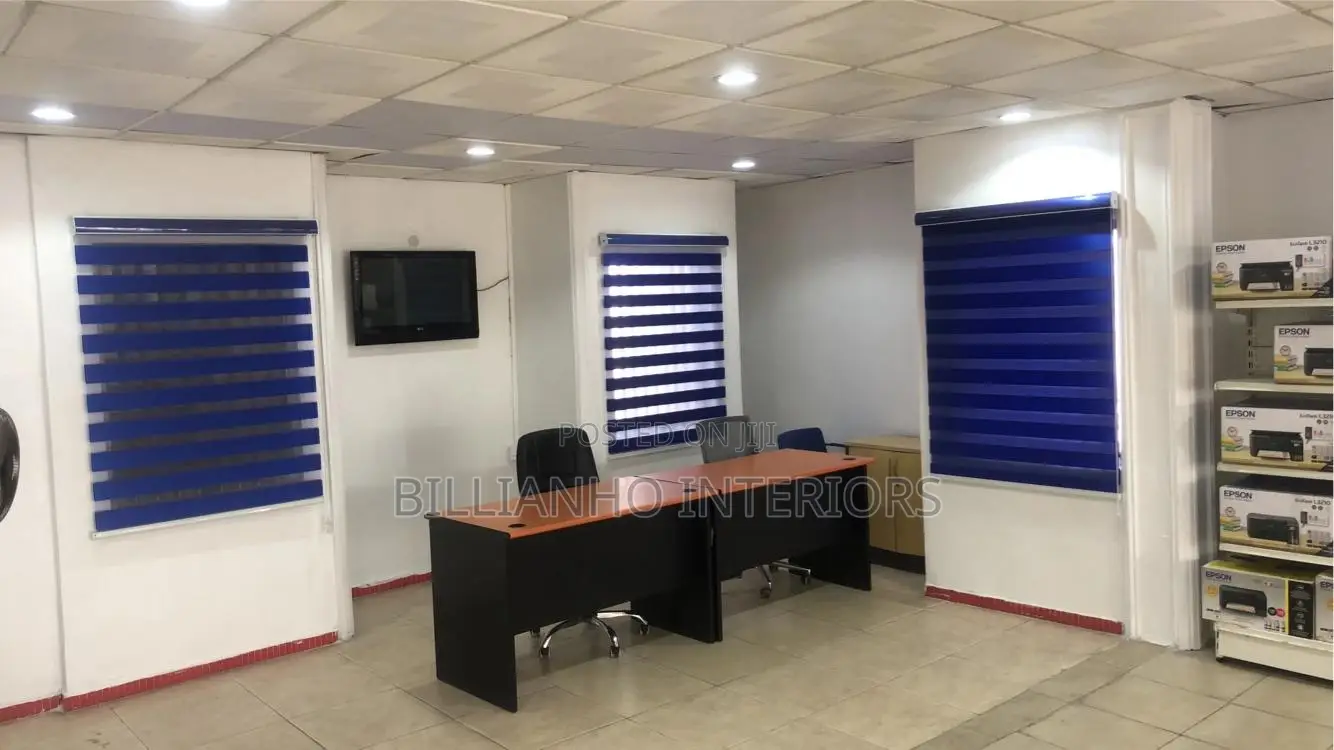 Day Night Window Blinds
