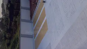 Painting and Screeding
