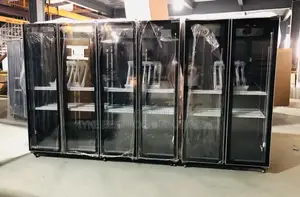 Commercial Beverage Display Chiller