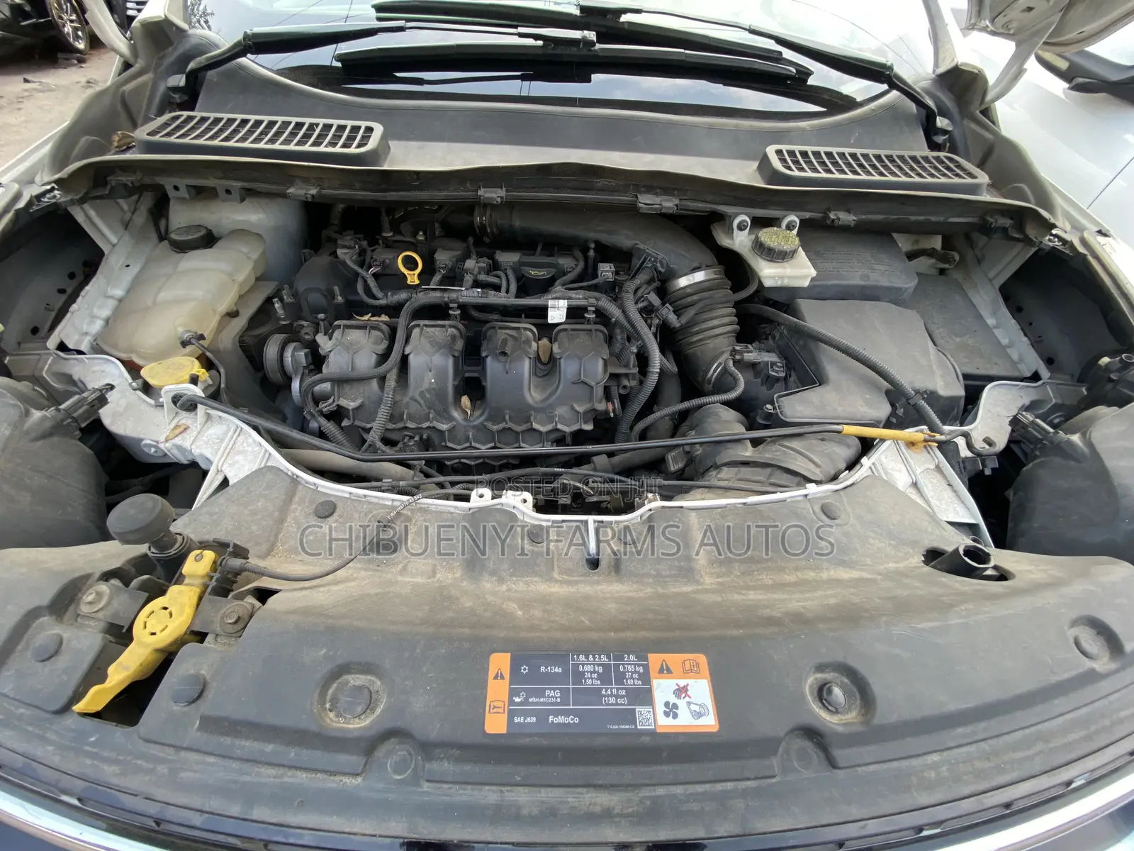 Ford Escape 2013 White