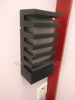 Black Outdoor Light (Bulb)