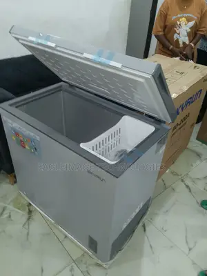 Advanced New-in Skyrun 200l Chest Freezer(Bd-200a)