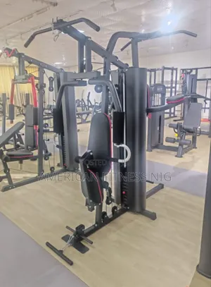 American Fitness 2 Station Gym