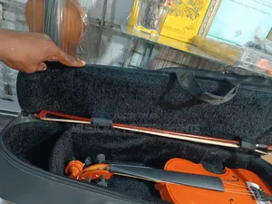Violin Padded Bags