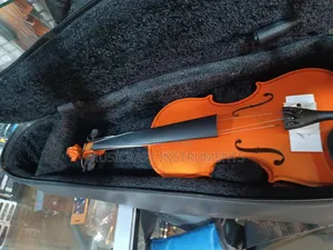 Violin Padded Bags