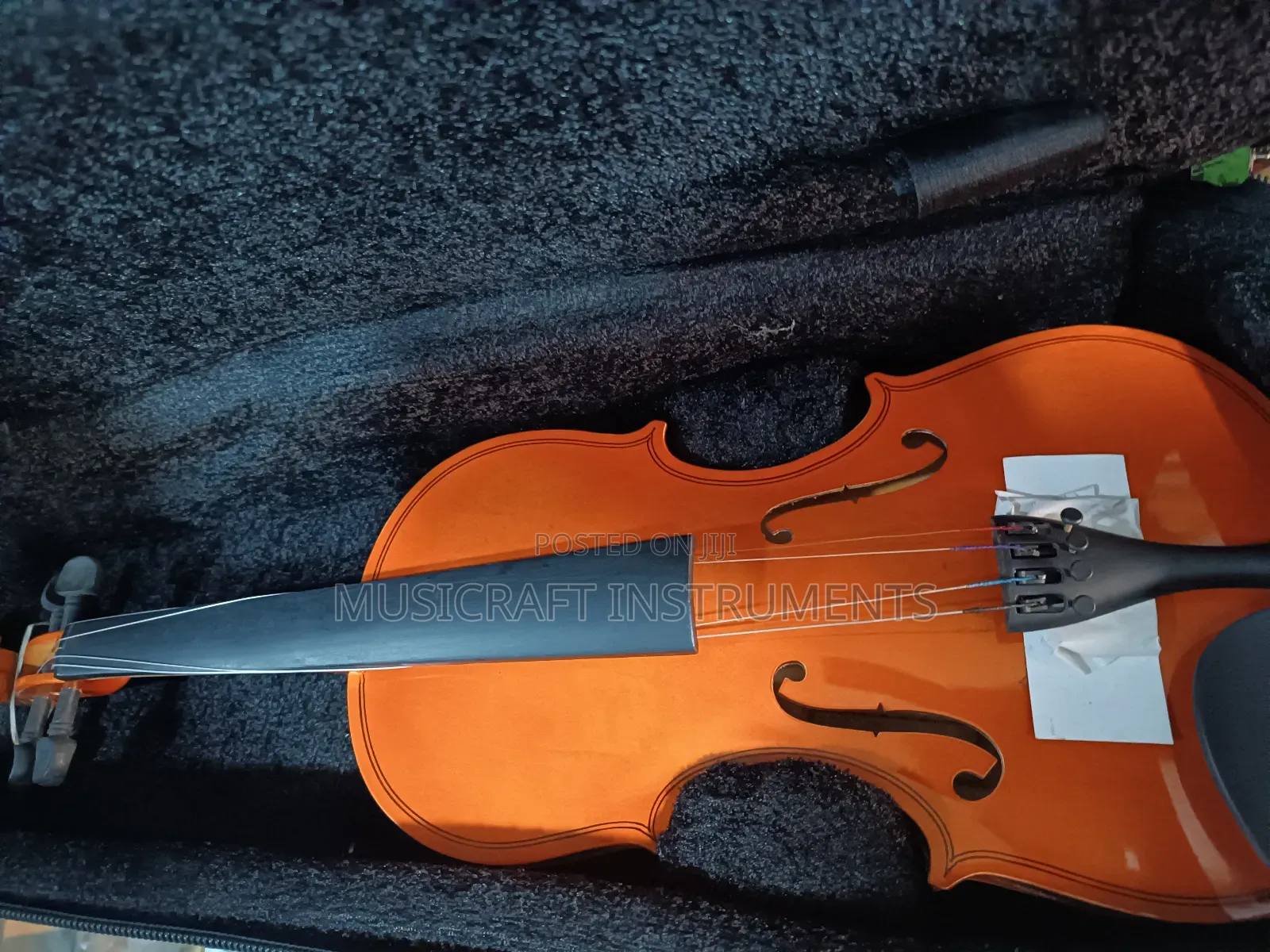 Violin Padded Bags