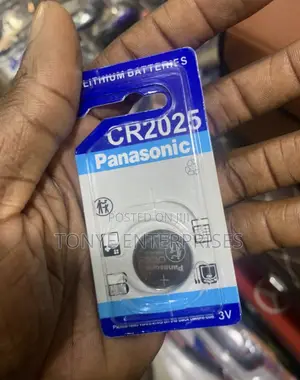 Panasonic Original Battery