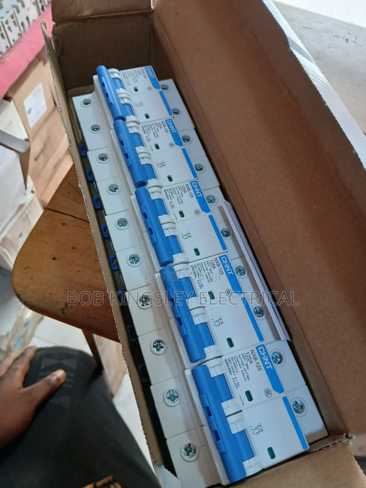 125a 2pole MCB Chint