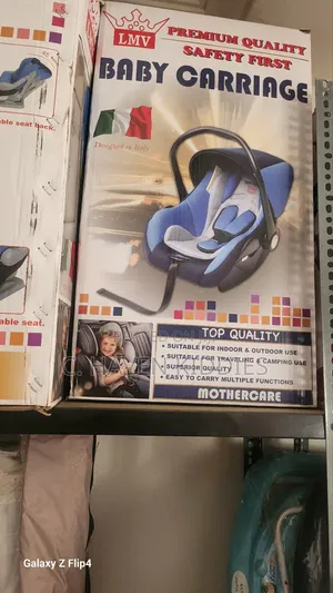 Car Sitter