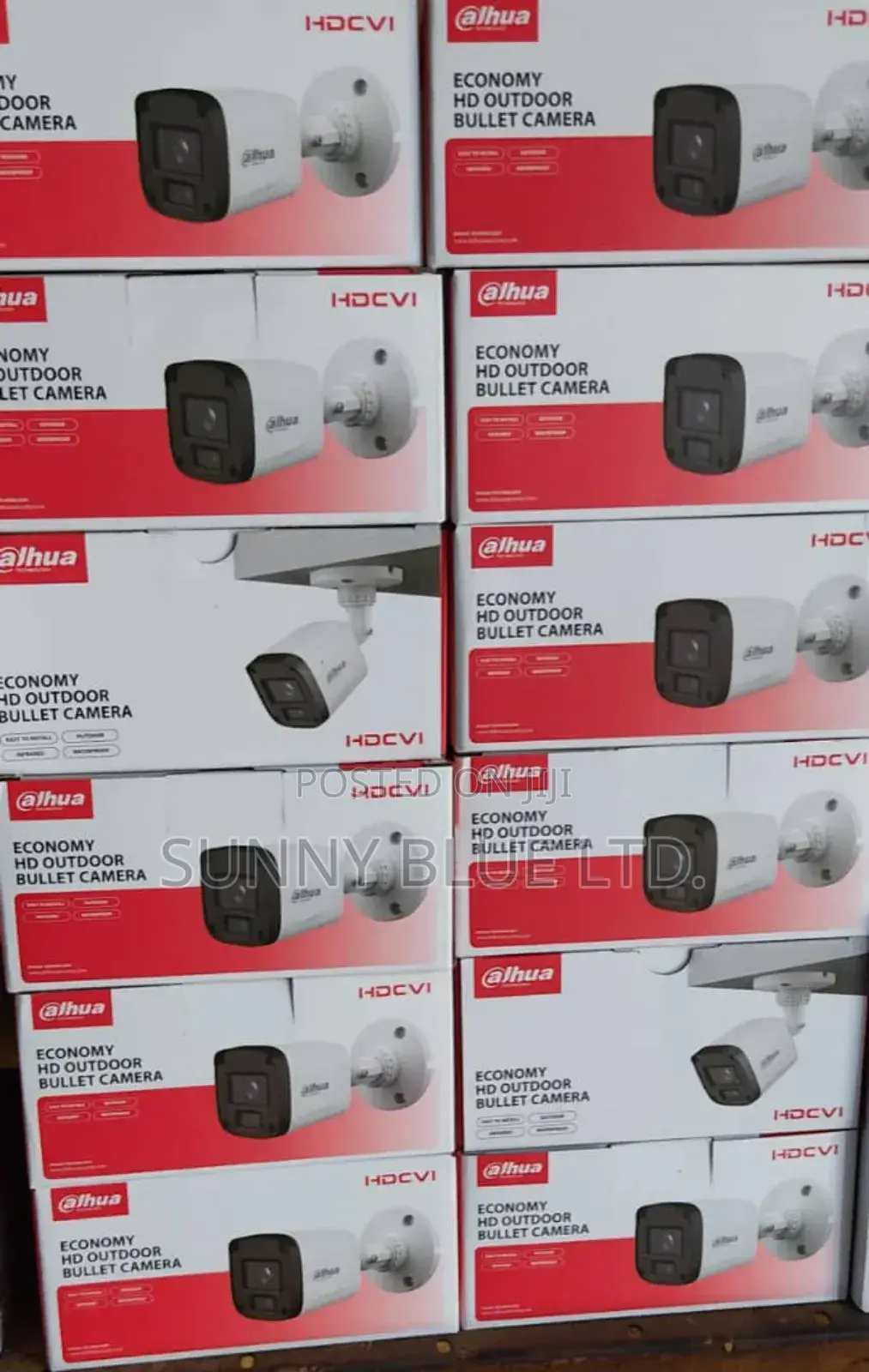 Dahua Outdoor Camera