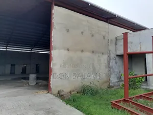 Warehouse at Trans Amadi