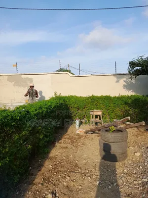 Screeding Services