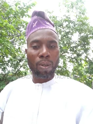 Mr Oladipupo Adesesan Taofeek