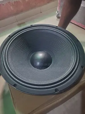 Great Power 18 Inch Naked Speaker Gp 6000