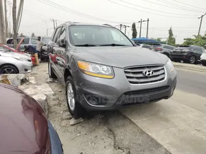 Hyundai Santa Fe Limited 2010 Gray