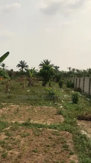 Gated Buy and Build Land in Airport Rd Ph