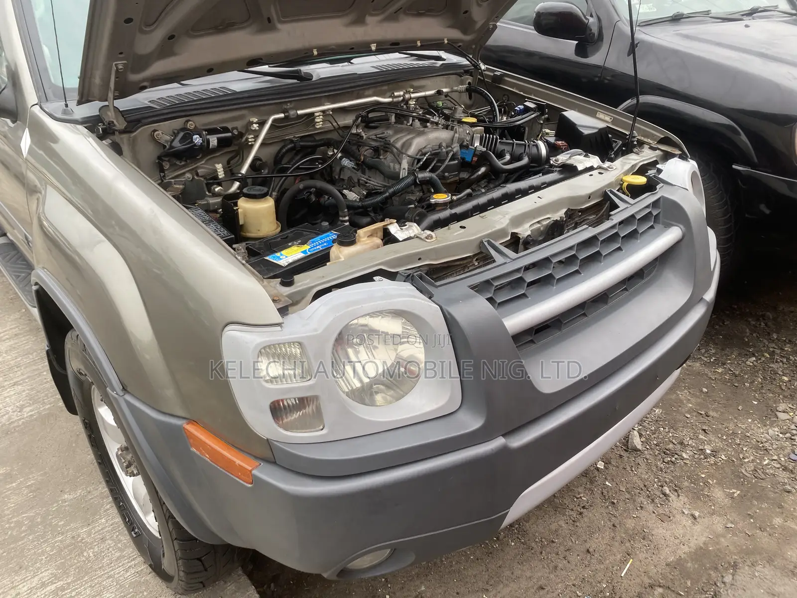Nissan Xterra Automatic 2004 Gray