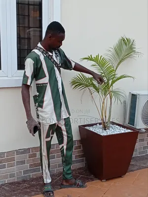 Tropical Oasis in a Concrete Pot! Golden Palms