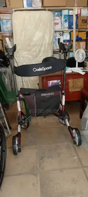 Standing Rollator
