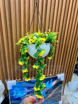Hanging Wall Flower . Yup 