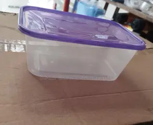 Takeaway Plastic Plate - 100pcs