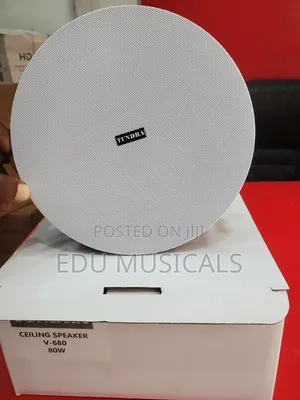Ceiling Speaker