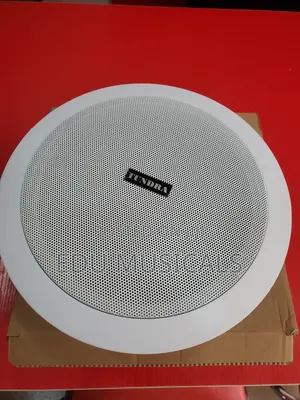 Ceiling Speaker