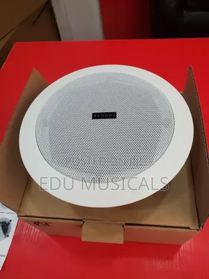 Ceiling Speaker