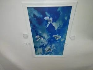 Ceiling Mural 3D (Local)