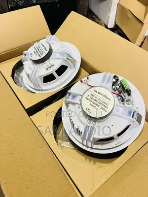 50watts Surpass Bluetooth Ceiling Speaker (2 In1 )