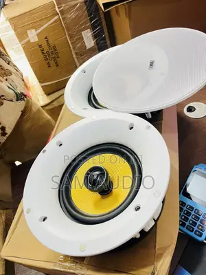 Wi-fi And Bluetooth Ceiling Speaker 2 In 1