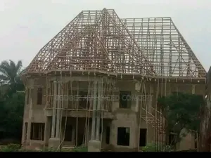 Professional House Roofing